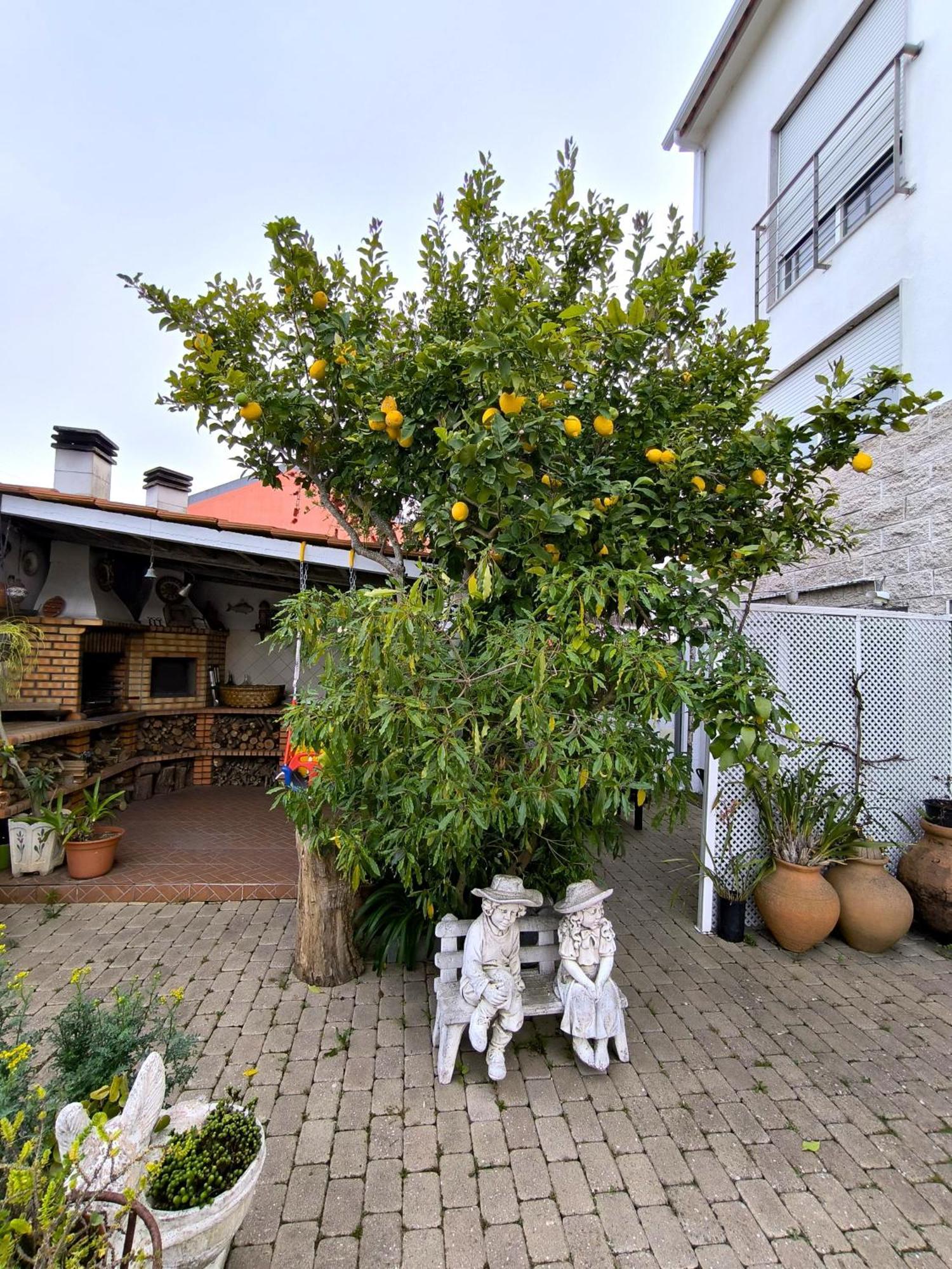 Appartement The Sun House à Santa Iria de Azoia Extérieur photo